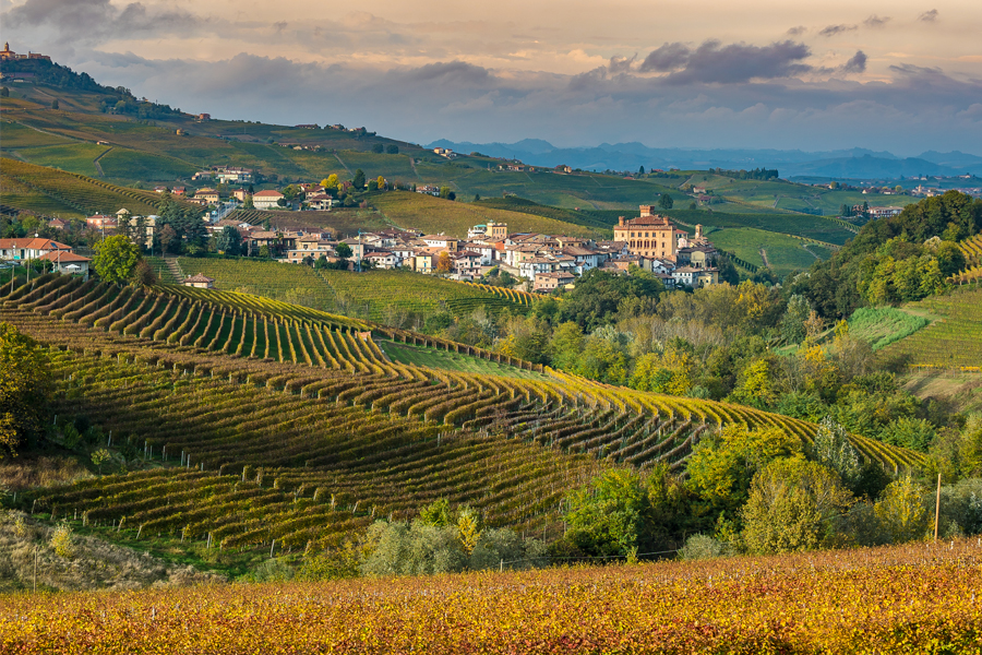 A panorama of Barolo and its famous vineyards