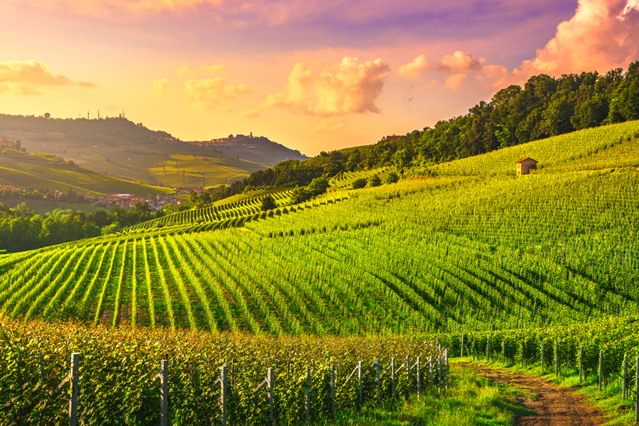 Vineyard Landscape of Piedmont: Langhe-Roero and Monferrato, a UNESCO World Heritage Site