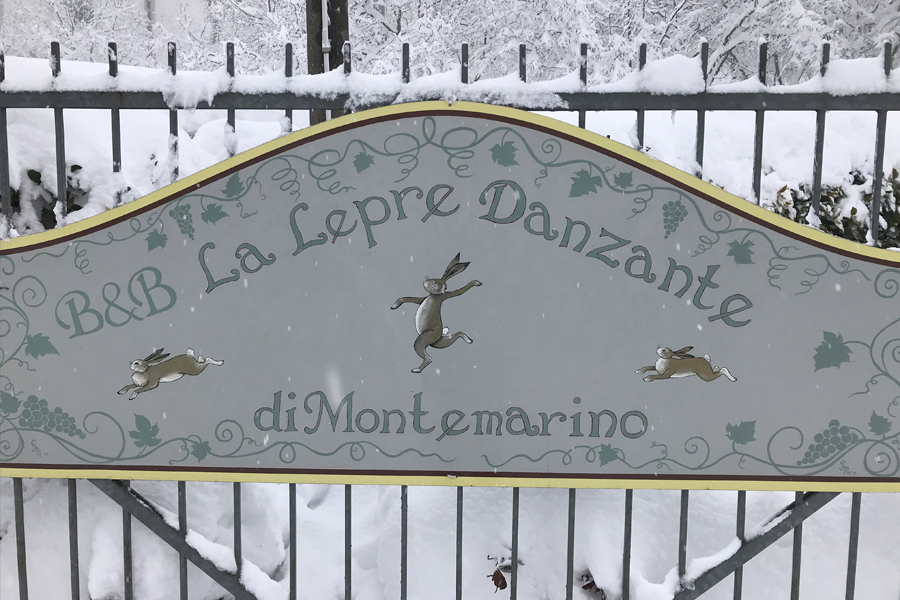 The gate at La Lepre Danzante a B&B style, family-run guest house near Alba, Italy